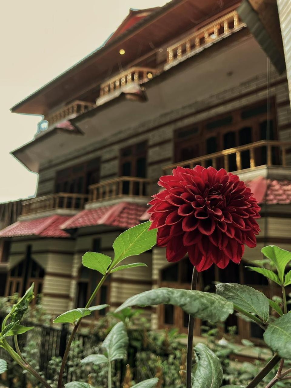 Hotel Anupam Kasol Esterno foto